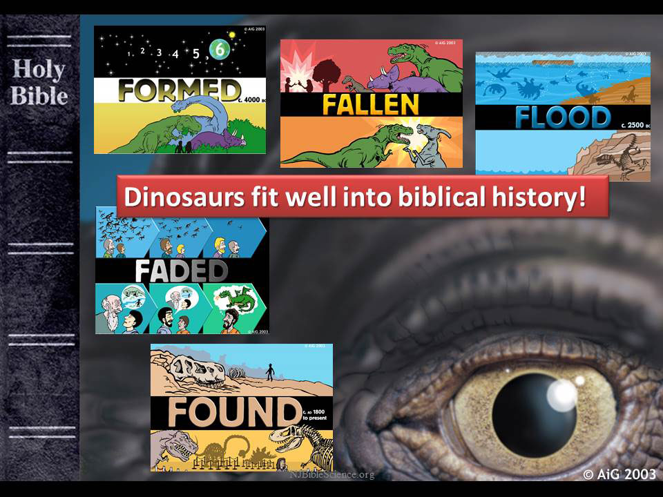 Dinosaurs fit biblical history diagram